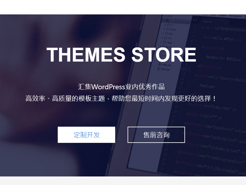 wordpress主题开发